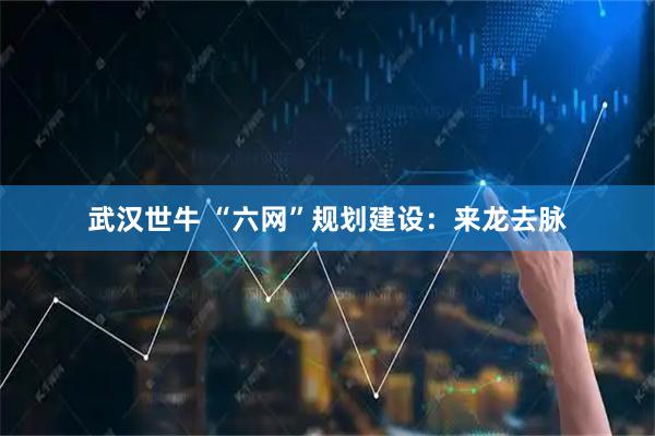 武汉世牛 “六网”规划建设：来龙去脉