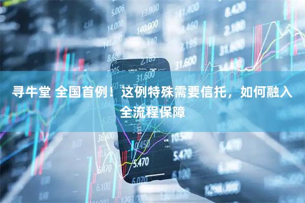 寻牛堂 全国首例！这例特殊需要信托，如何融入全流程保障