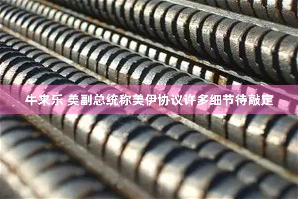 牛来乐 美副总统称美伊协议许多细节待敲定